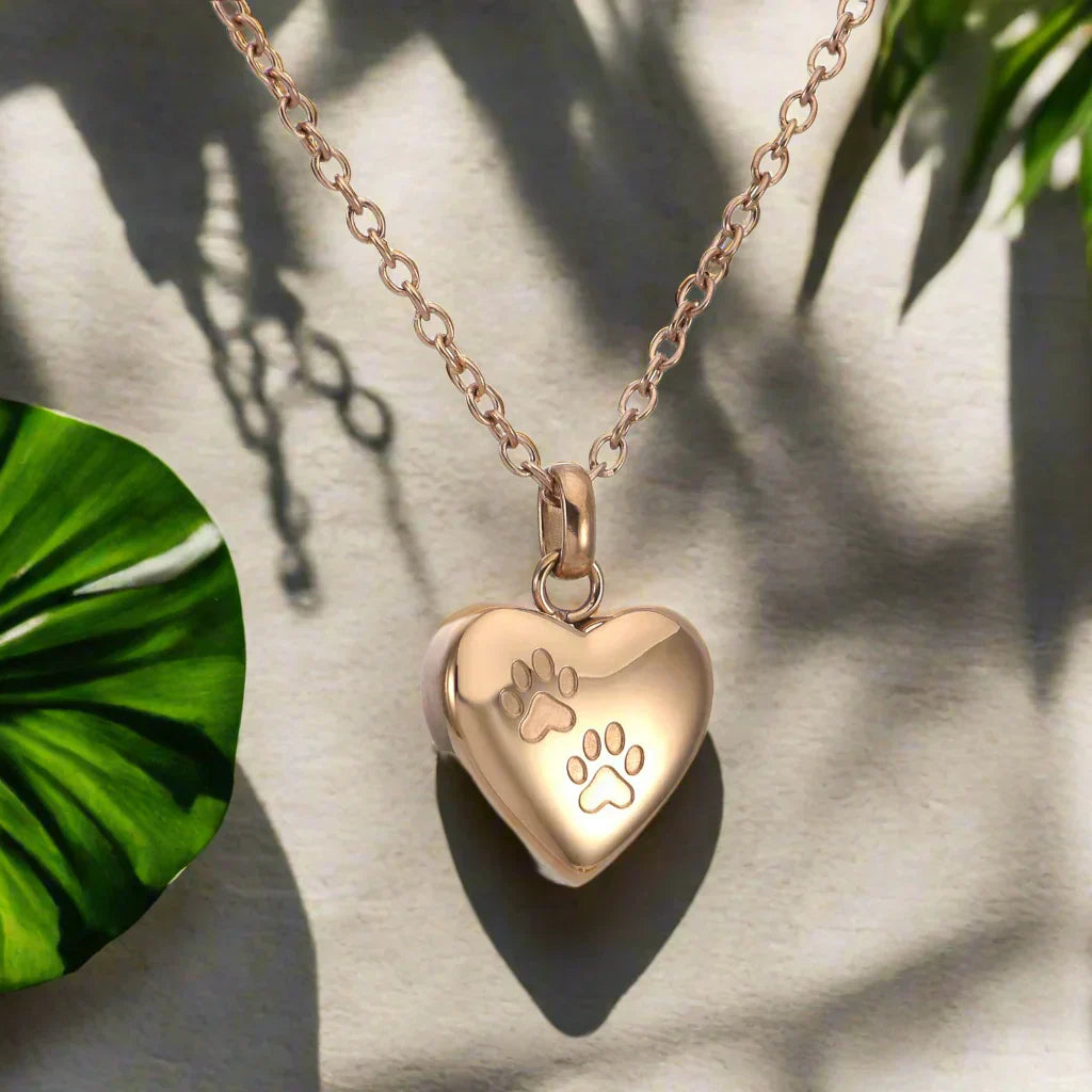 Colgante con Memorial de Garras y Corazón – Colgante de Urna de Acero Inoxidable